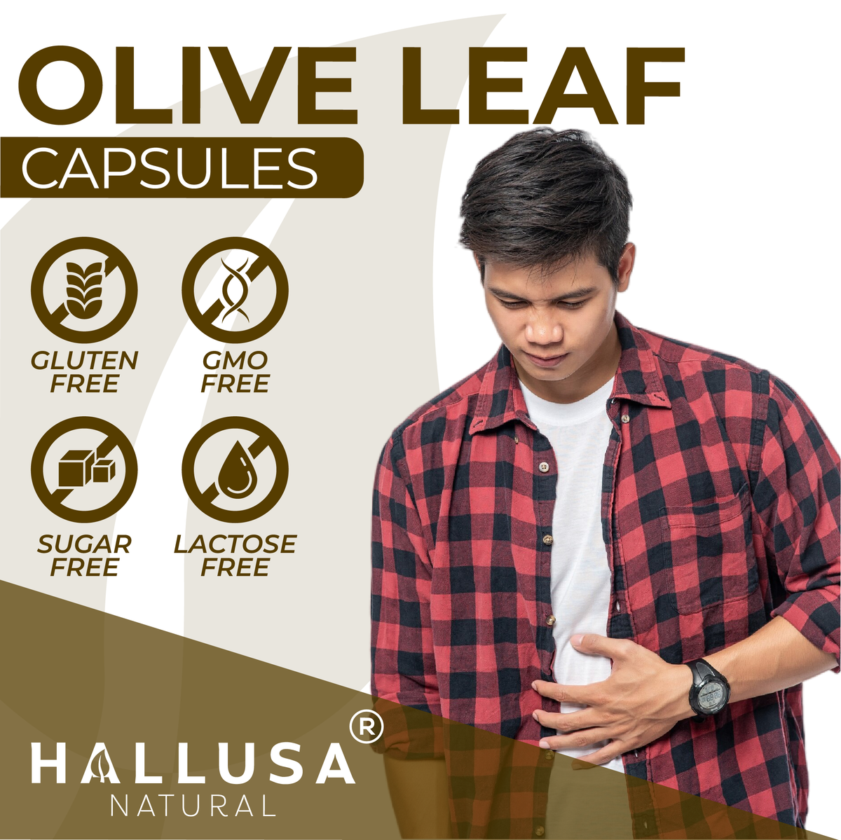 HallOlive leaf - Olive Leaf Extract 6% Oleuropein 1000 mg - 60 capsules - Antioxidant Supplement - Vegan-Non-GMO Gluten Free HALLUSA NATURAL