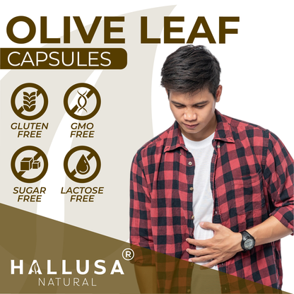 HallOlive leaf - Olive Leaf Extract 6% Oleuropein 1000 mg - 60 capsules - Antioxidant Supplement - Vegan-Non-GMO Gluten Free HALLUSA NATURAL