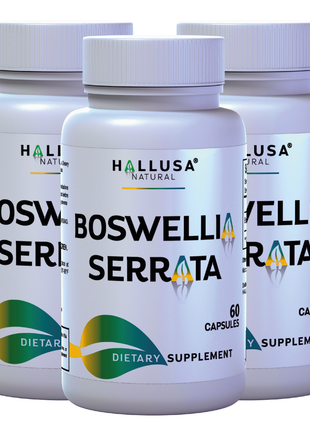 Boswellia Serrata Extract 600 mg - Supplement for Inflammation - Joint Support Supplement - Ayurvedic SupplementS - 60 capsules 30 serving HALLUSA NATURAL