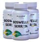 Boswellia Serrata Extract 600 mg - Supplement for Inflammation - Joint Support Supplement - Ayurvedic SupplementS - 60 capsules 30 serving HALLUSA NATURAL