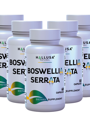 Boswellia Serrata Extract 600 mg - Supplement for Inflammation - Joint Support Supplement - Ayurvedic SupplementS - 60 capsules 30 serving HALLUSA NATURAL