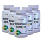Boswellia Serrata Extract 600 mg - Supplement for Inflammation - Joint Support Supplement - Ayurvedic SupplementS - 60 capsules 30 serving HALLUSA NATURAL