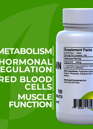 HallVitamin B6 - Vitamin B6 100 mg Essential Energy Supplement & 100 Tablets 100 servings HALLUSA NATURAL