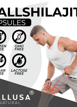 HallShilajit + Extract Fulvic Acid - Supplement 60 Capsules 30 servings /1,000 mg Shilajit per servings - Extract pure Himalayan Organic- Gluten Free- Non-GMO  HALLUSA NATURAL