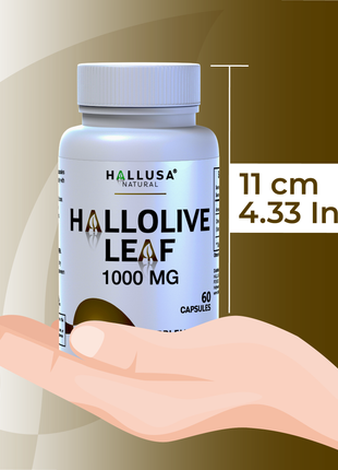 HallOlive leaf - Olive Leaf Extract 6% Oleuropein 1000 mg - 60 capsules - Antioxidant Supplement - Vegan-Non-GMO Gluten Free HALLUSA NATURAL