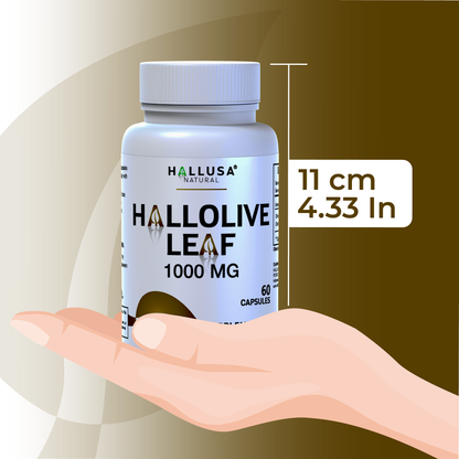 HallOlive leaf - Olive Leaf Extract 6% Oleuropein 1000 mg - 60 capsules - Antioxidant Supplement - Vegan-Non-GMO Gluten Free HALLUSA NATURAL