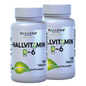 HallVitamin B6 - Vitamin B6 100 mg Essential Energy Supplement & 100 Tablets 100 servings HALLUSA NATURAL