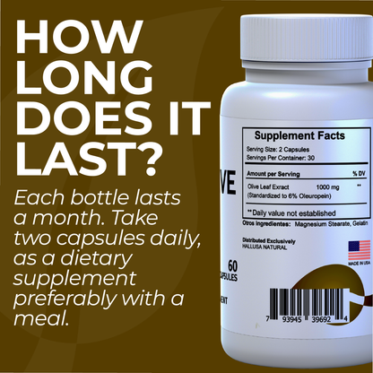 HallOlive leaf - Olive Leaf Extract 6% Oleuropein 1000 mg - 60 capsules - Antioxidant Supplement - Vegan-Non-GMO Gluten Free HALLUSA NATURAL